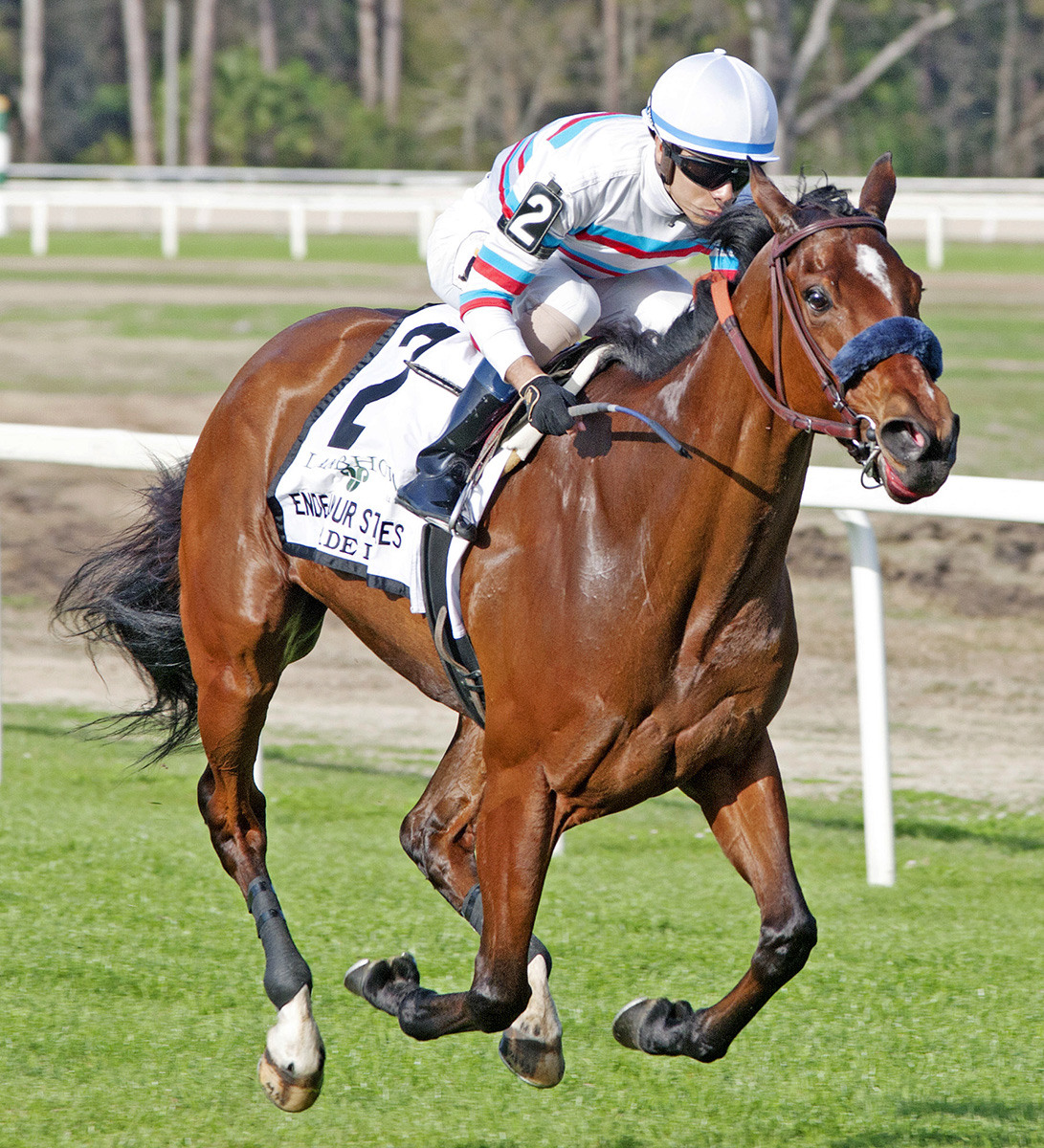 Dona Bruja wins the Endeavour Stakes