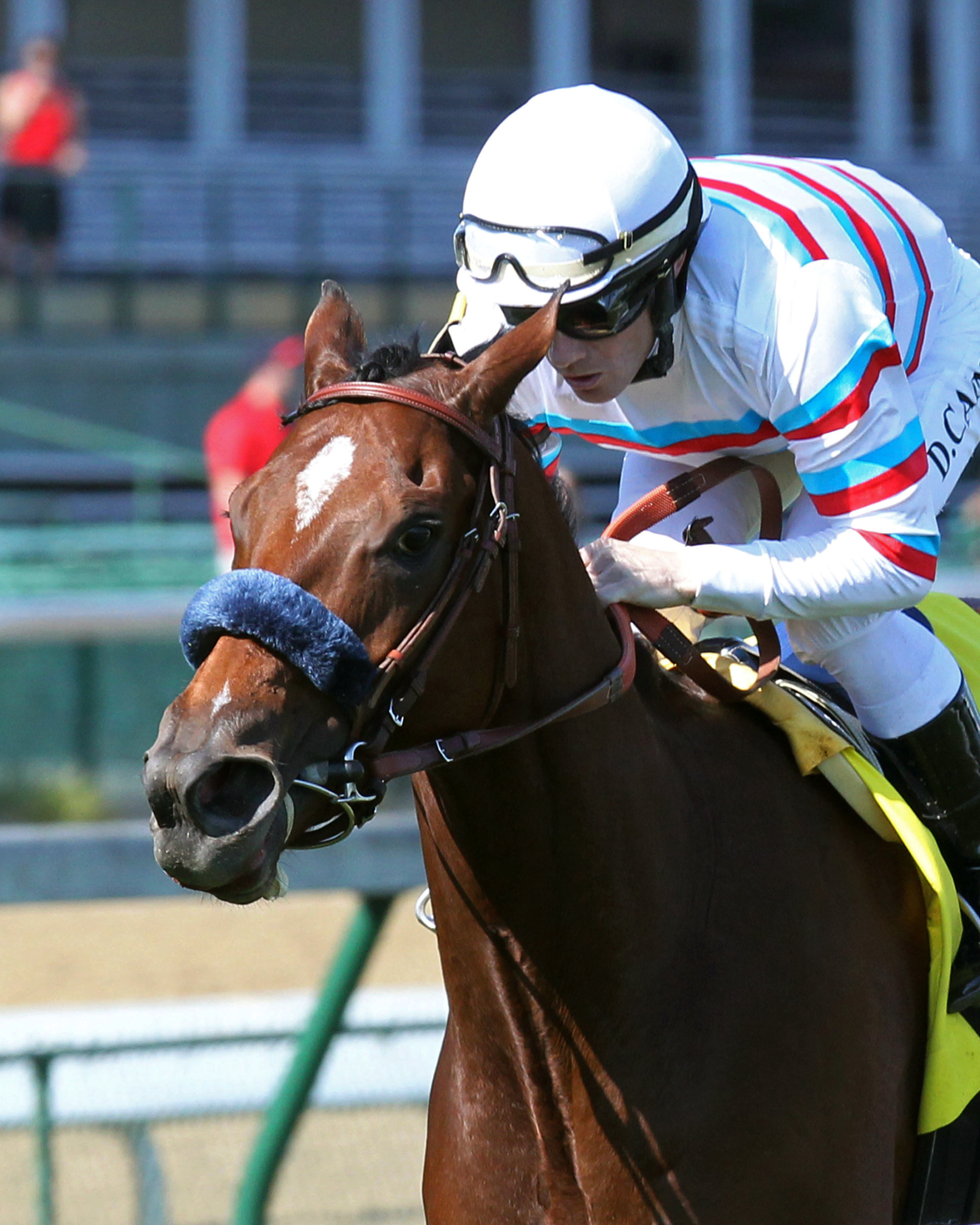 Dona Bruja wins the Mint Julep Handicap