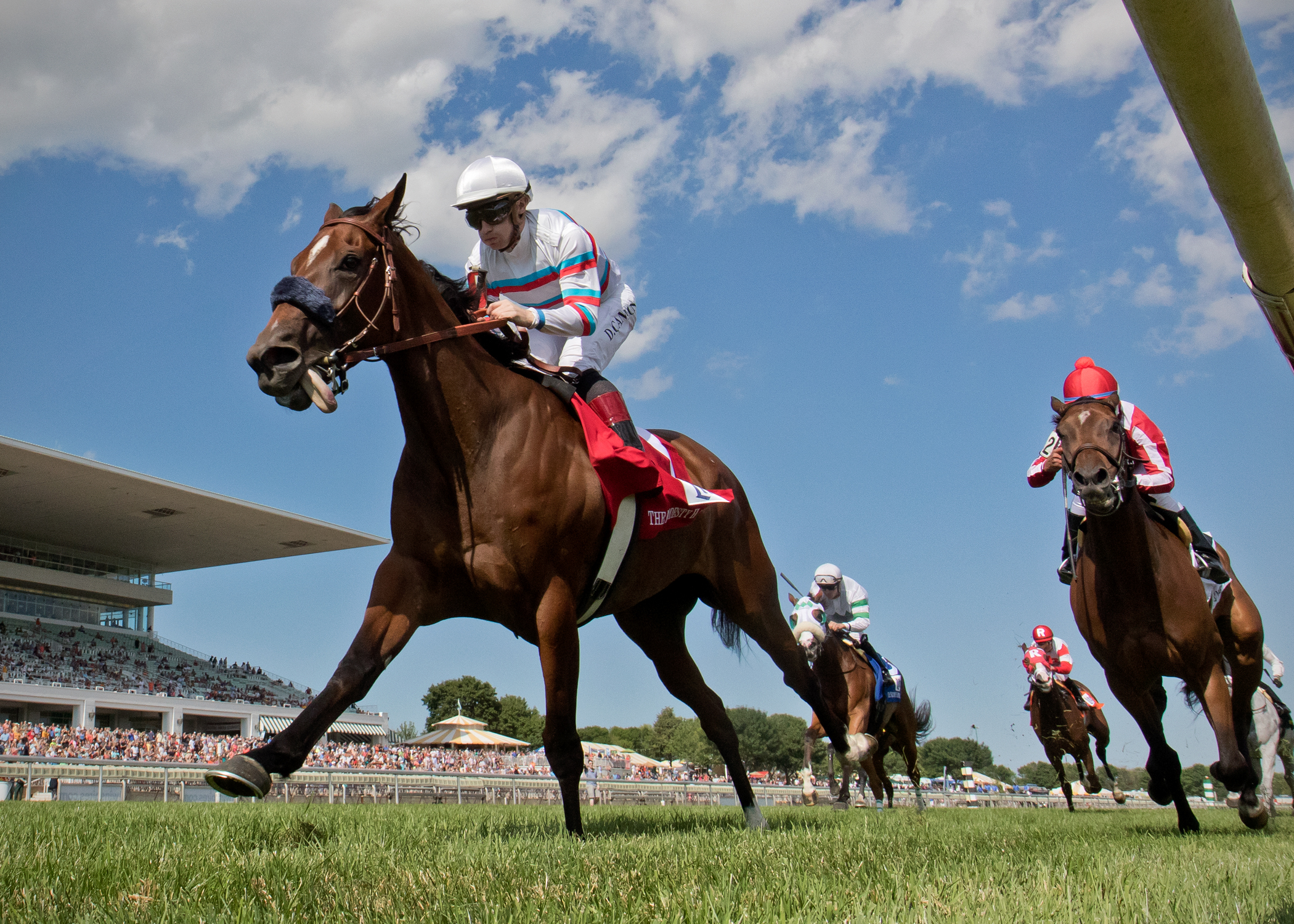 Dona Bruja wins the 2017 Modesty Handicap