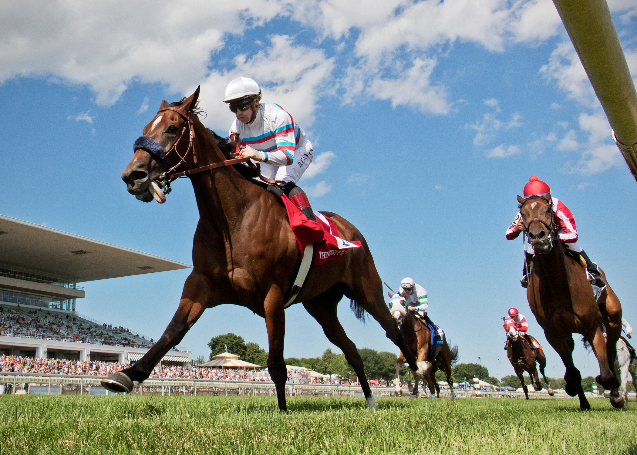 Dona Bruja wins the 2017 Modesty Handicap