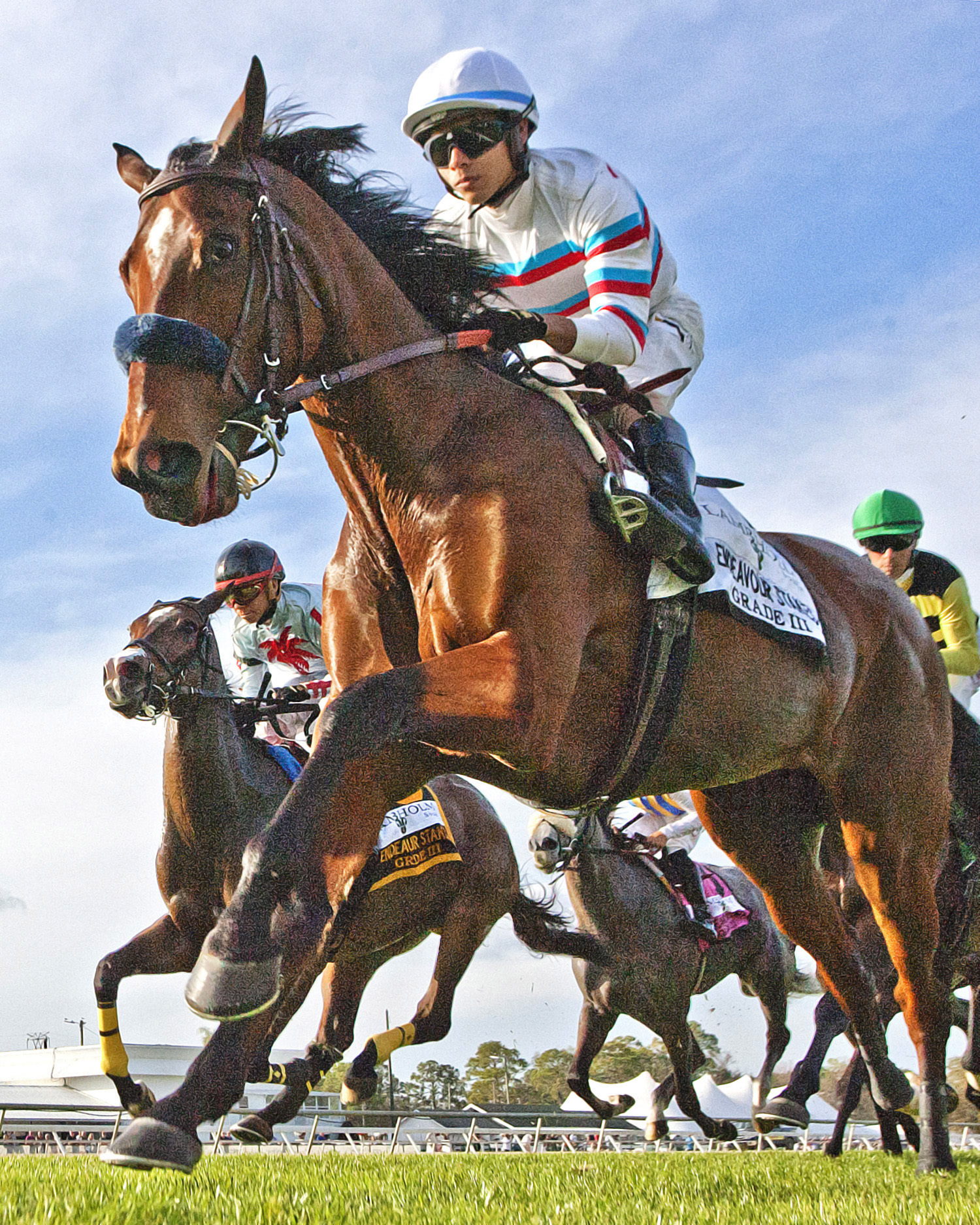 Dona Bruja wins 2018 Endeavour Stakes