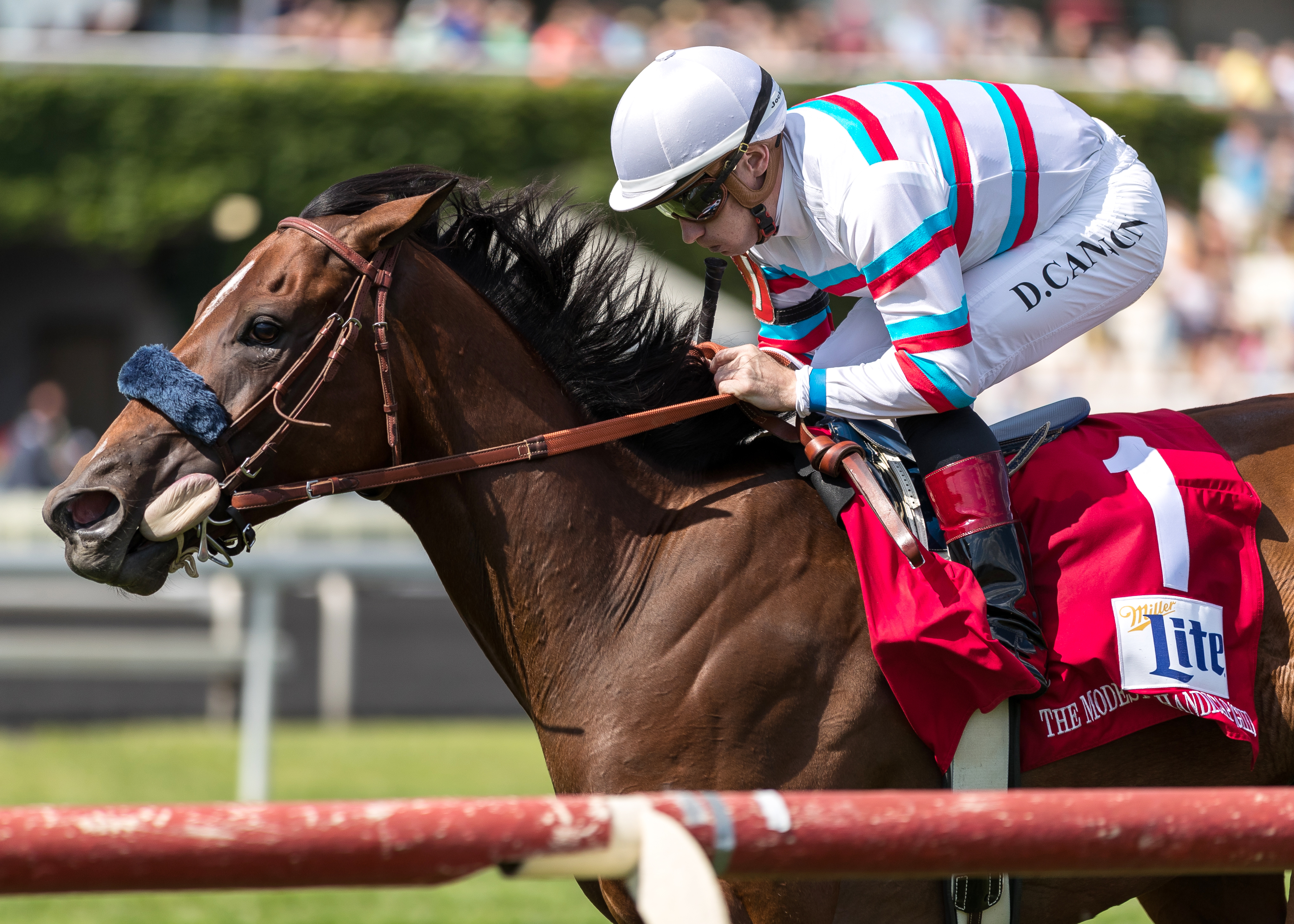 Dona Bruja wins the 2017 Modesty Handicap