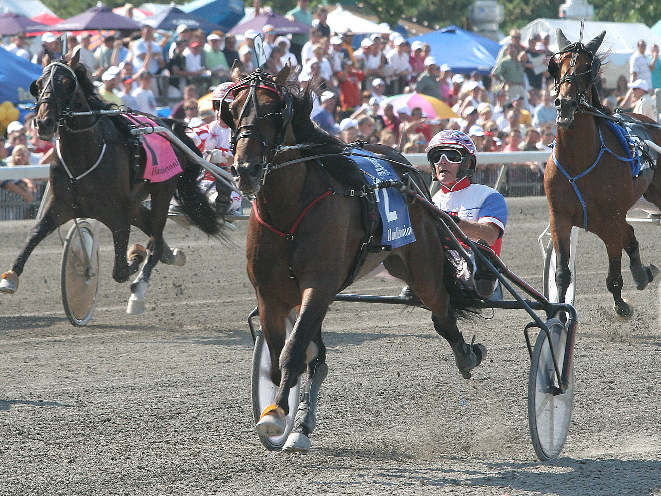 Donato Hanover