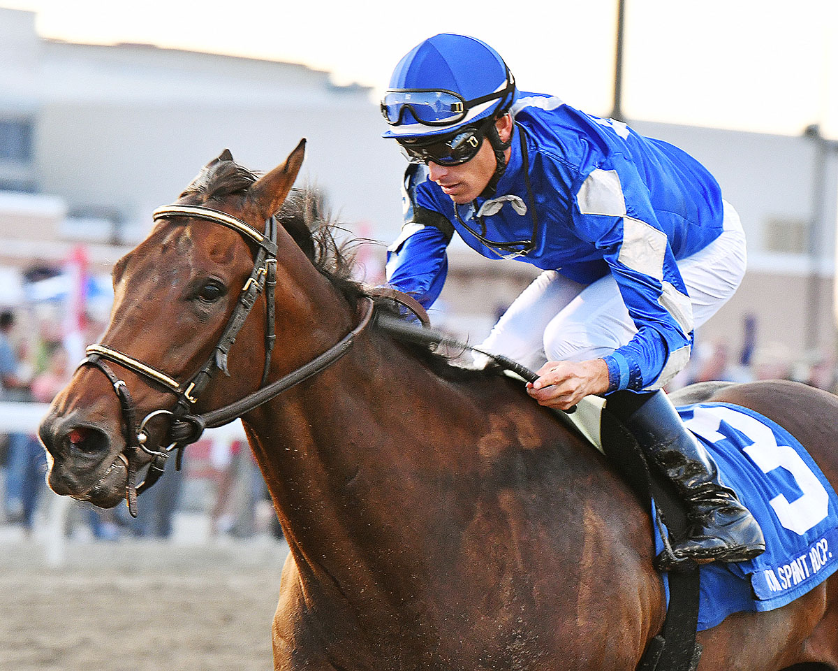 Done Deal wins the 2018 Iowa Sprint Handicap