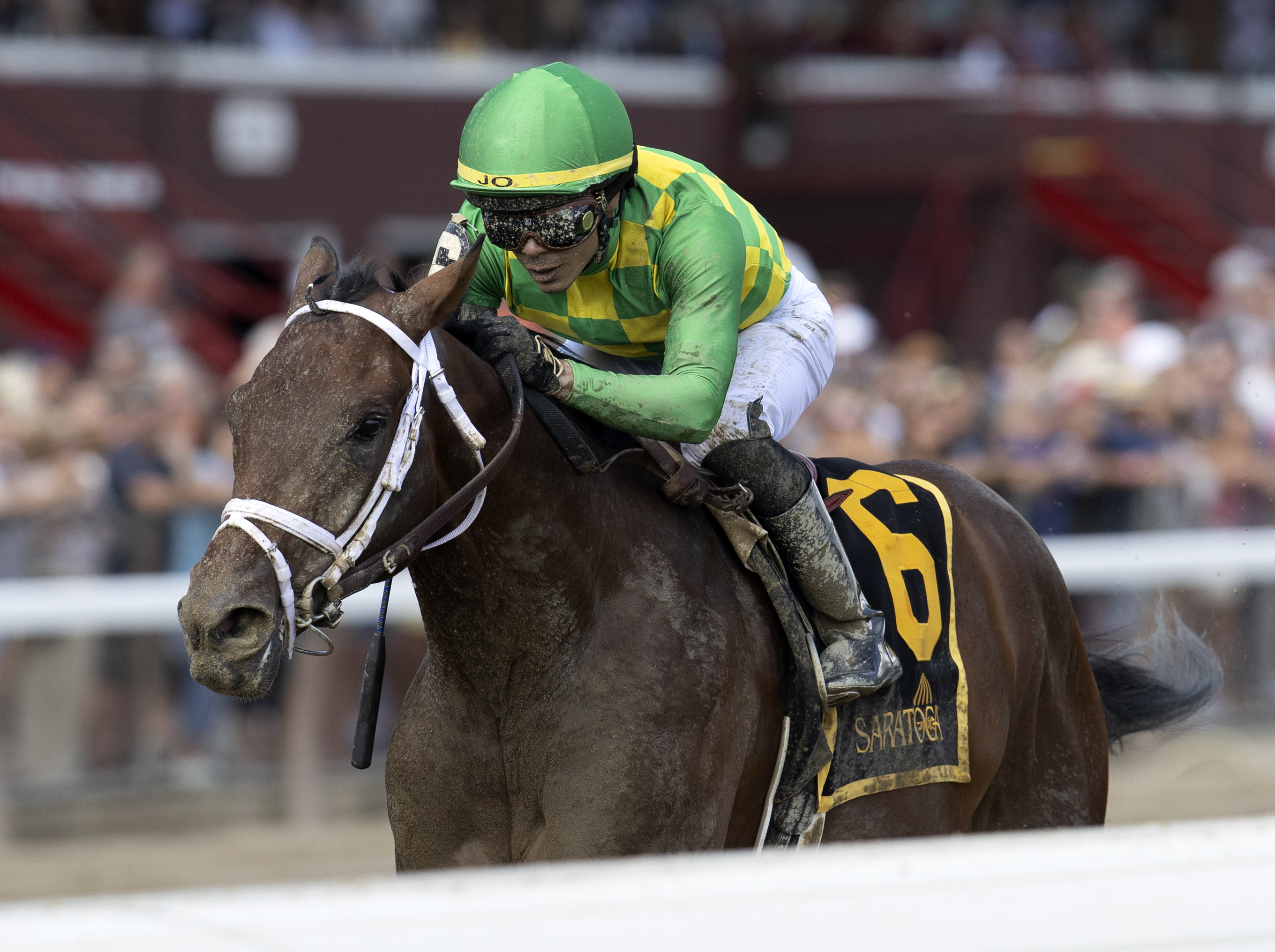 Donegal Surges wins his debut at Saratoga Aug 11 2022
