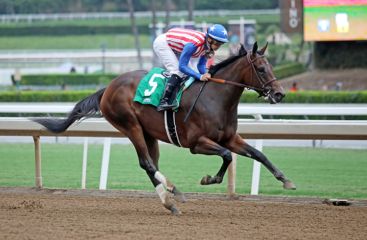 Donna Veloce wins a Sept. 28 maiden at Santa Anita Park