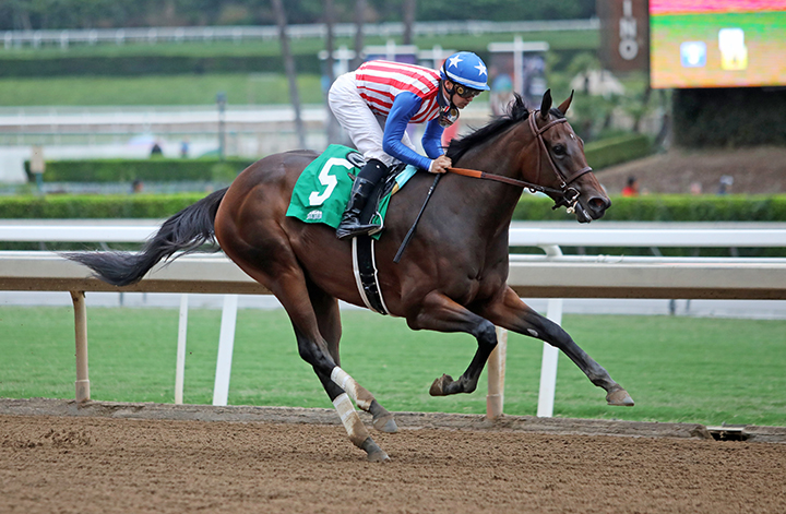 Donna Veloce wins a Sept. 28 maiden at Santa Anita Park