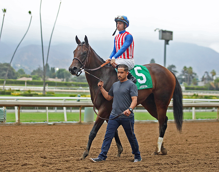 Donna Veloce after winning a Sept. 28 maiden at Santa Anita Park