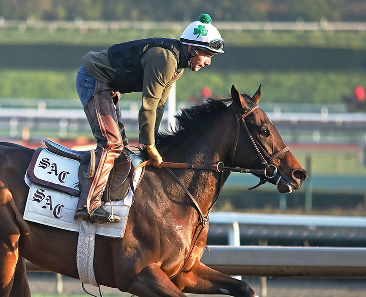 Donna Veloce trains at Santa Anita Park on Feb. 24, 2020