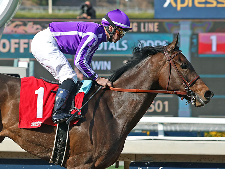 Donna Veloce wins the 2020 Santa Ysabel Stakes at Santa Anita