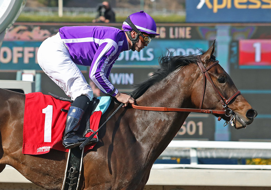 Donna Veloce wins the 2020 Santa Ysabel Stakes at Santa Anita