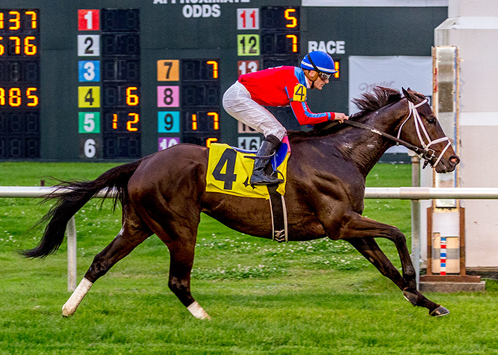 Dontblamerocket wins the 2020 E.R. Bradley Stakes at Fair Grounds