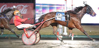 Dontevenknowmymame - Super Bowl Final at Meadowlands