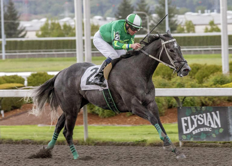 Dontkissntell wins an April 2019 optional claiming race at Emerald Downs
