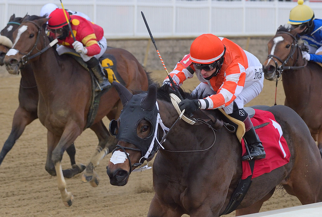 Dontletsweetfoolya wins the 2020 Willa On the Move Stakes at Laurel Park