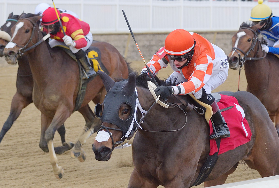 Dontletsweetfoolya wins the 2020 Willa On the Move Stakes at Laurel Park