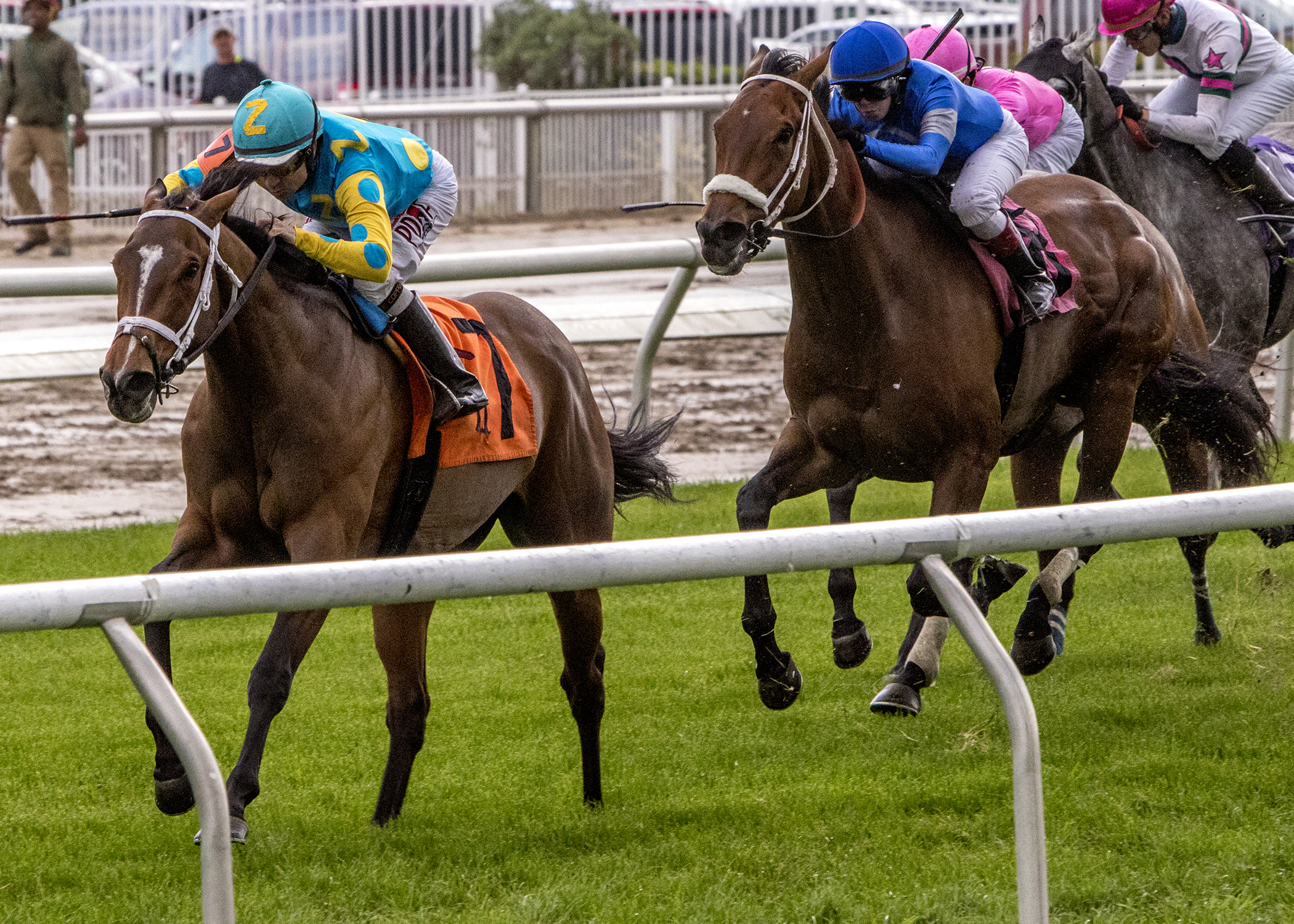 Dontmesswithjoanne wins the 2018 Red Camelia Stakes