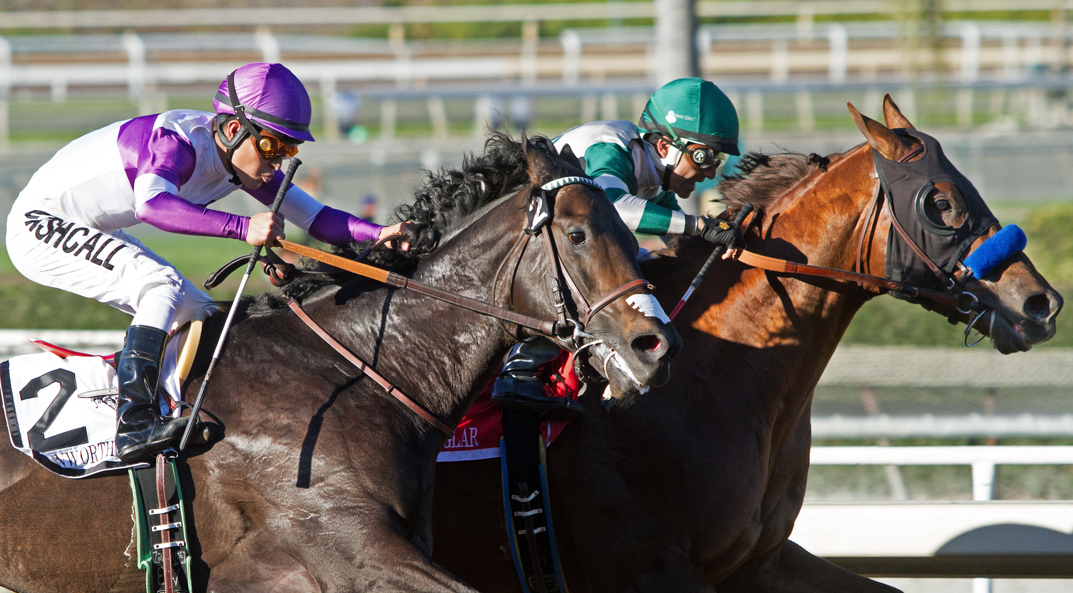 Donworth finishes third in the San Antonio Stakes