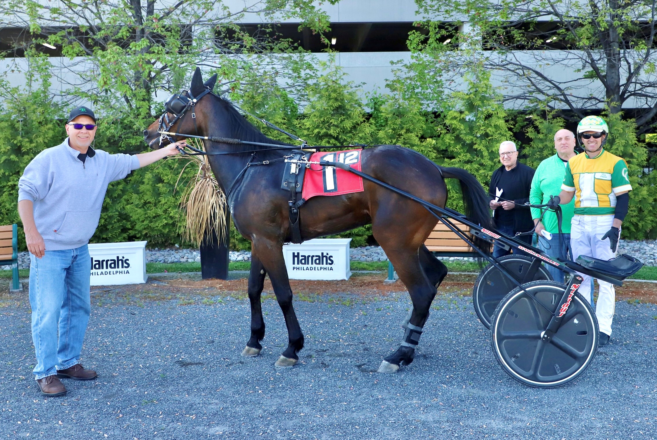 Donzel Hanover