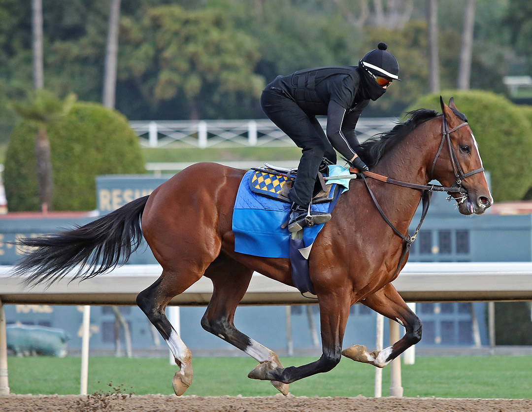 Doppelganger trains at Santa Anita on Jan. 15