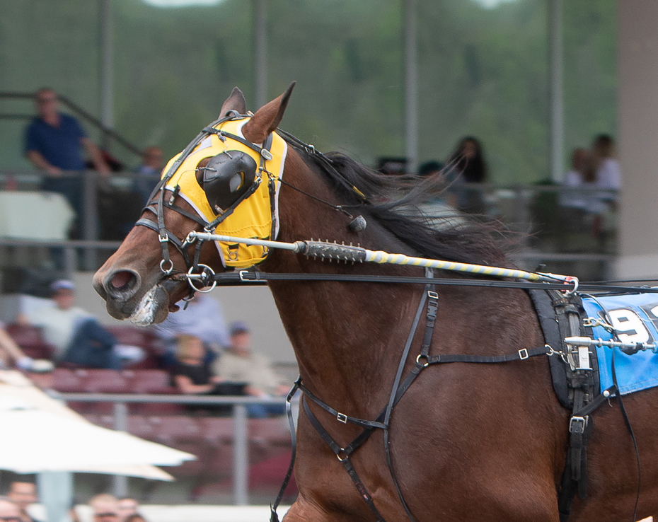 Dorsoduro Hanover