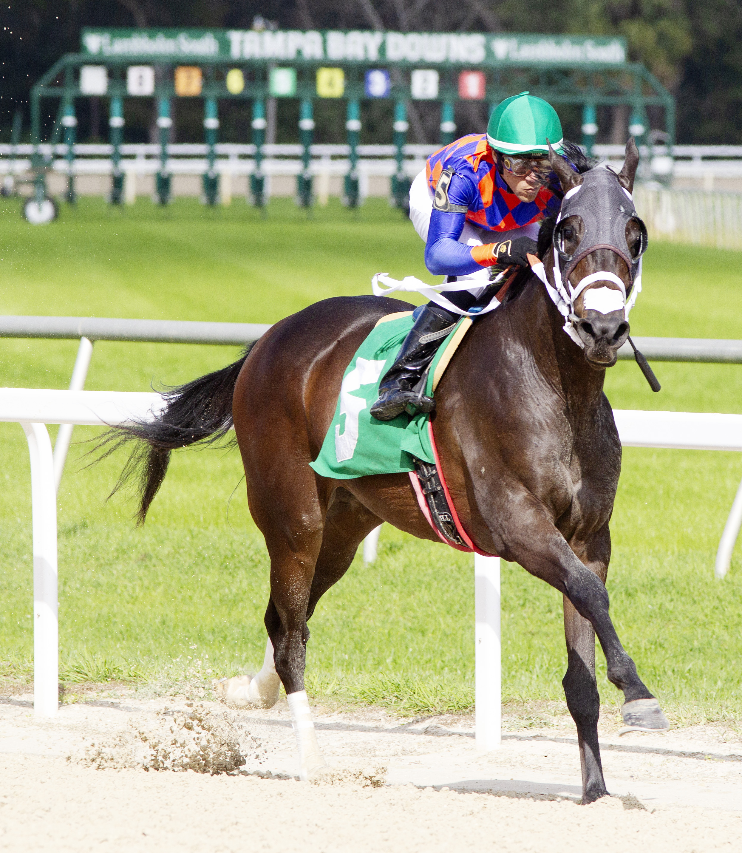 Dorth Vader wins the Sandpiper at Tampa Dec 3 2022