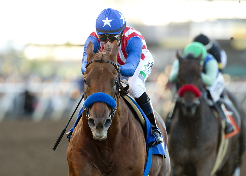Dotmund wins 2015 Native Diver