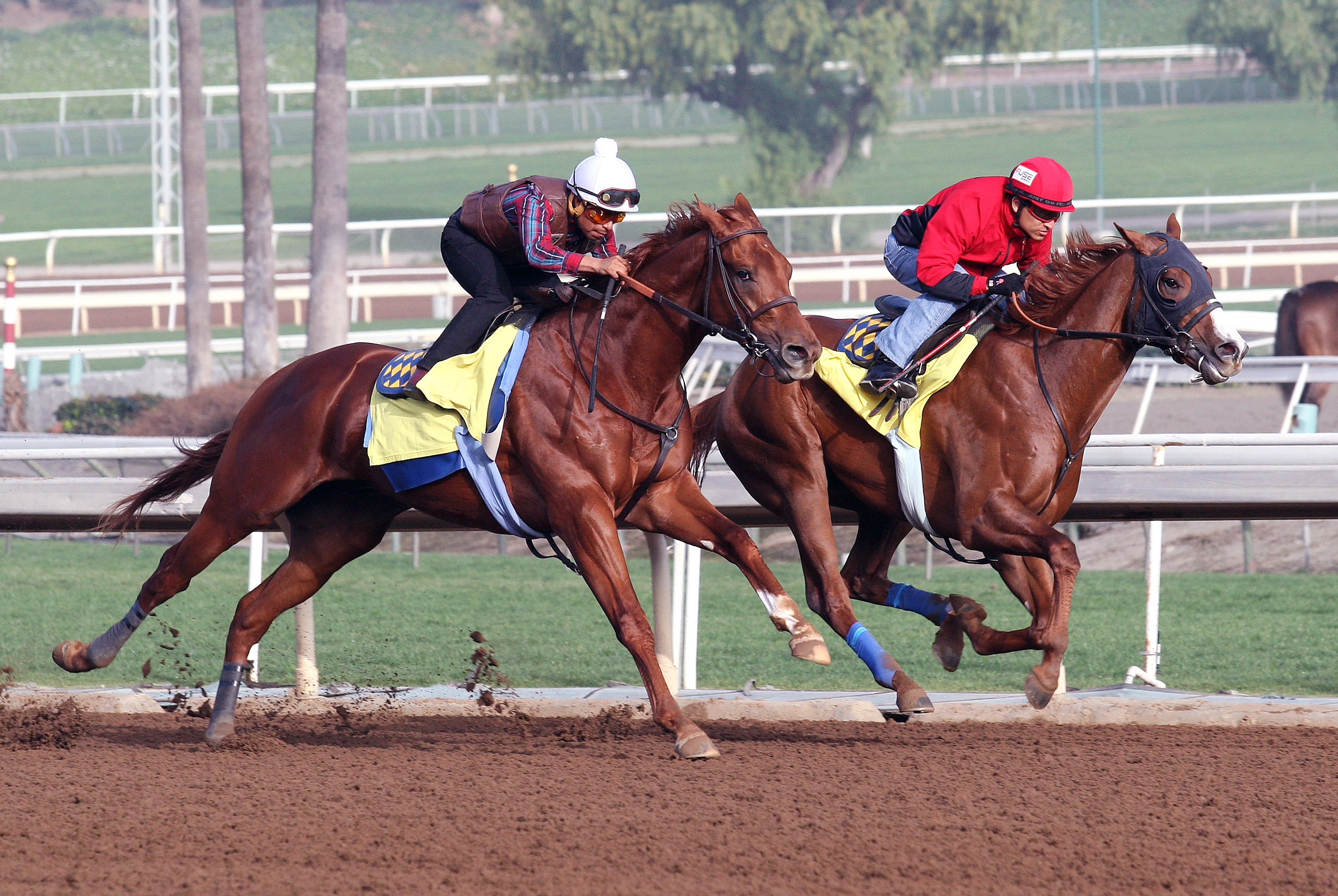 Dortmund works with Lord Nelson at Santa Anita on Jan. 21