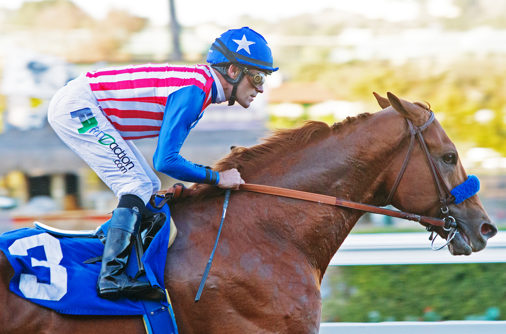 Dortmund wins the Native Diver