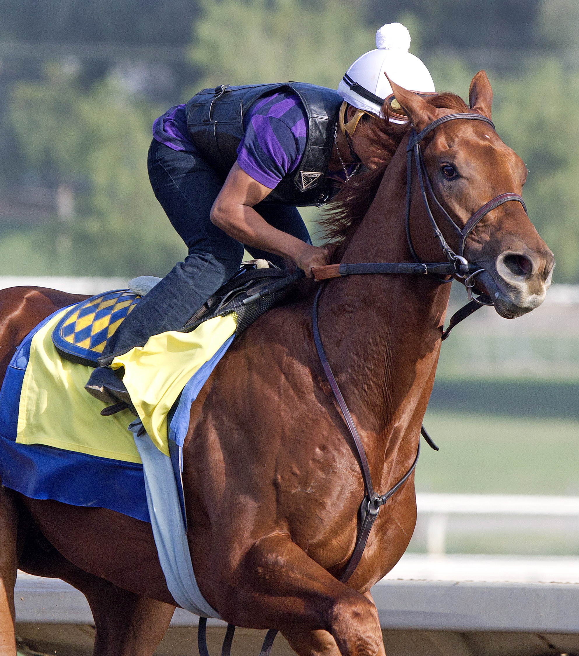 Dortmund trains at Santa Anita on Feb. 19