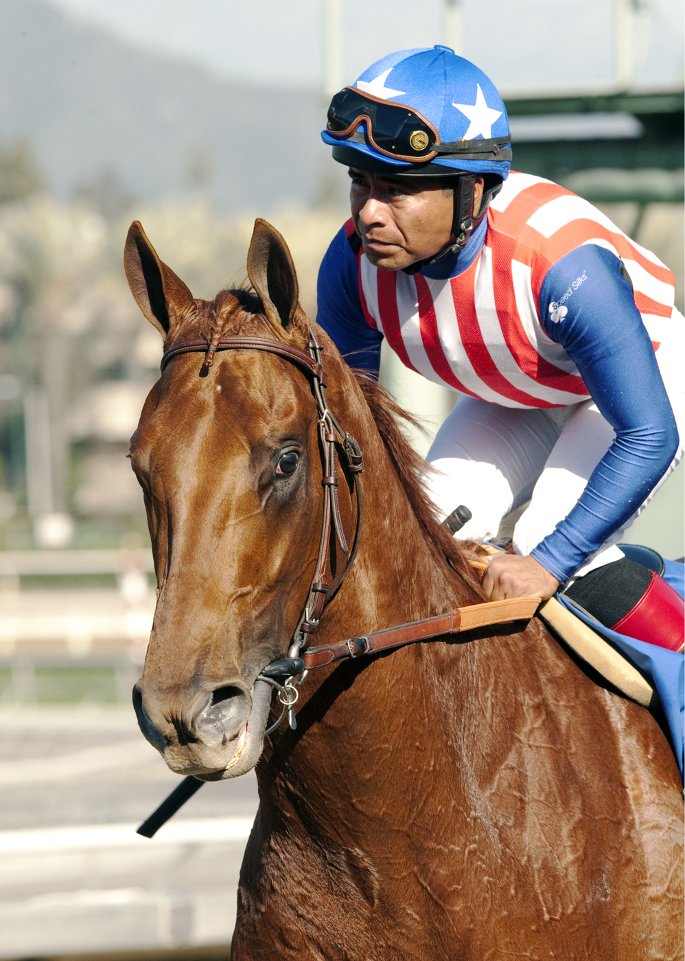 Dortmund after winning the San Felipe