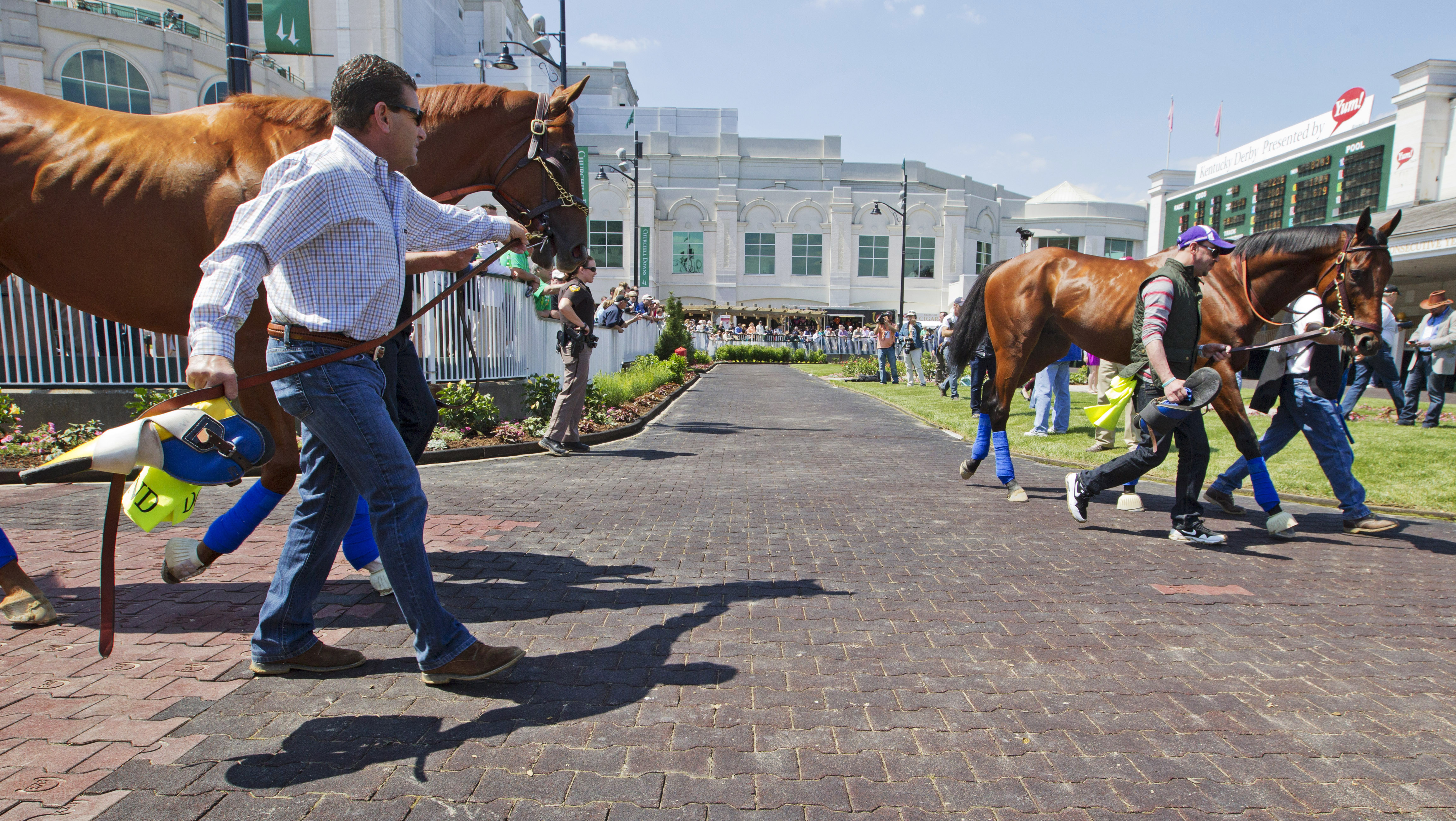Dortmund and American Pharoah at Churchill