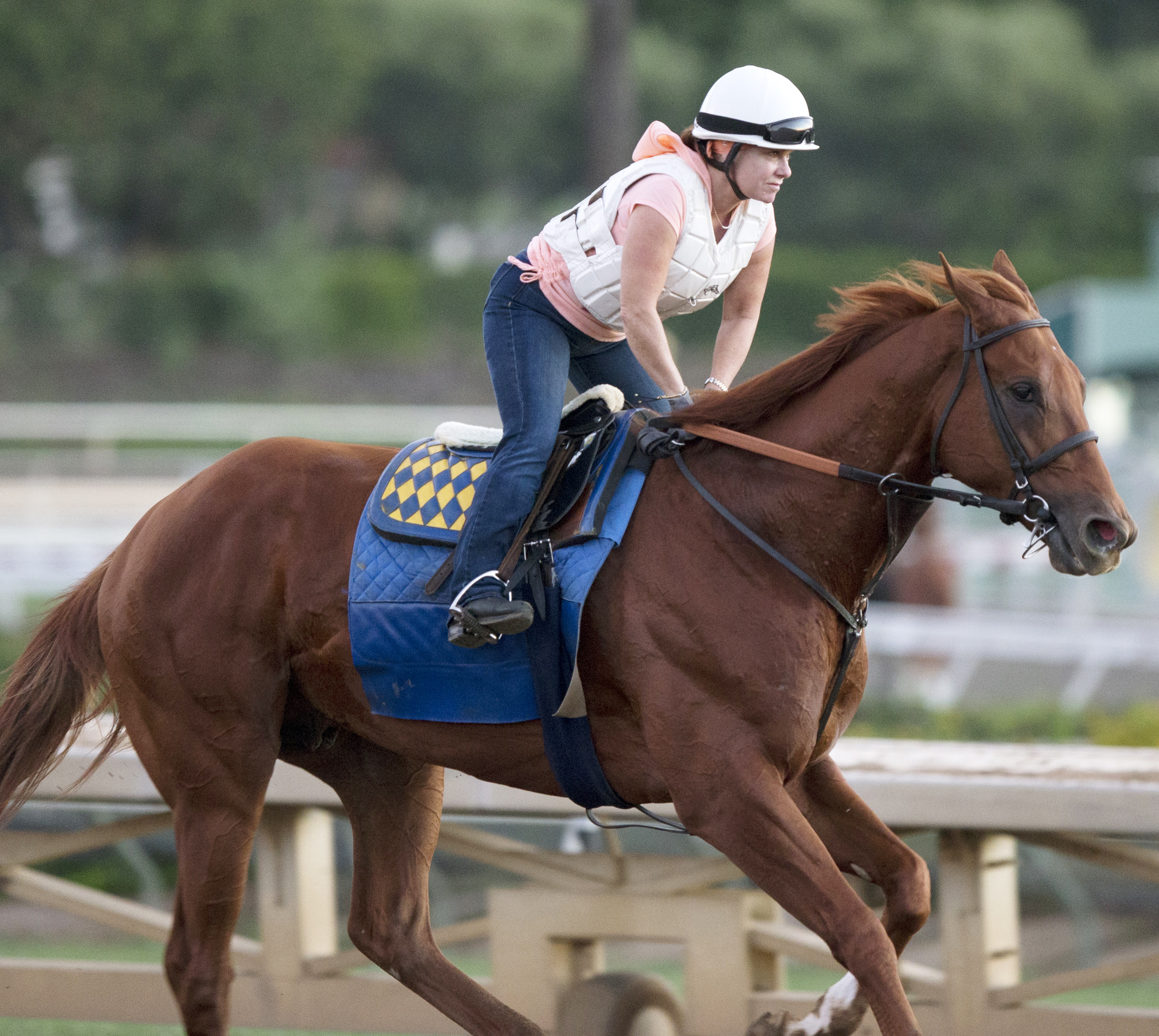 Dortmund trains at Santa Anita on Oct. 9