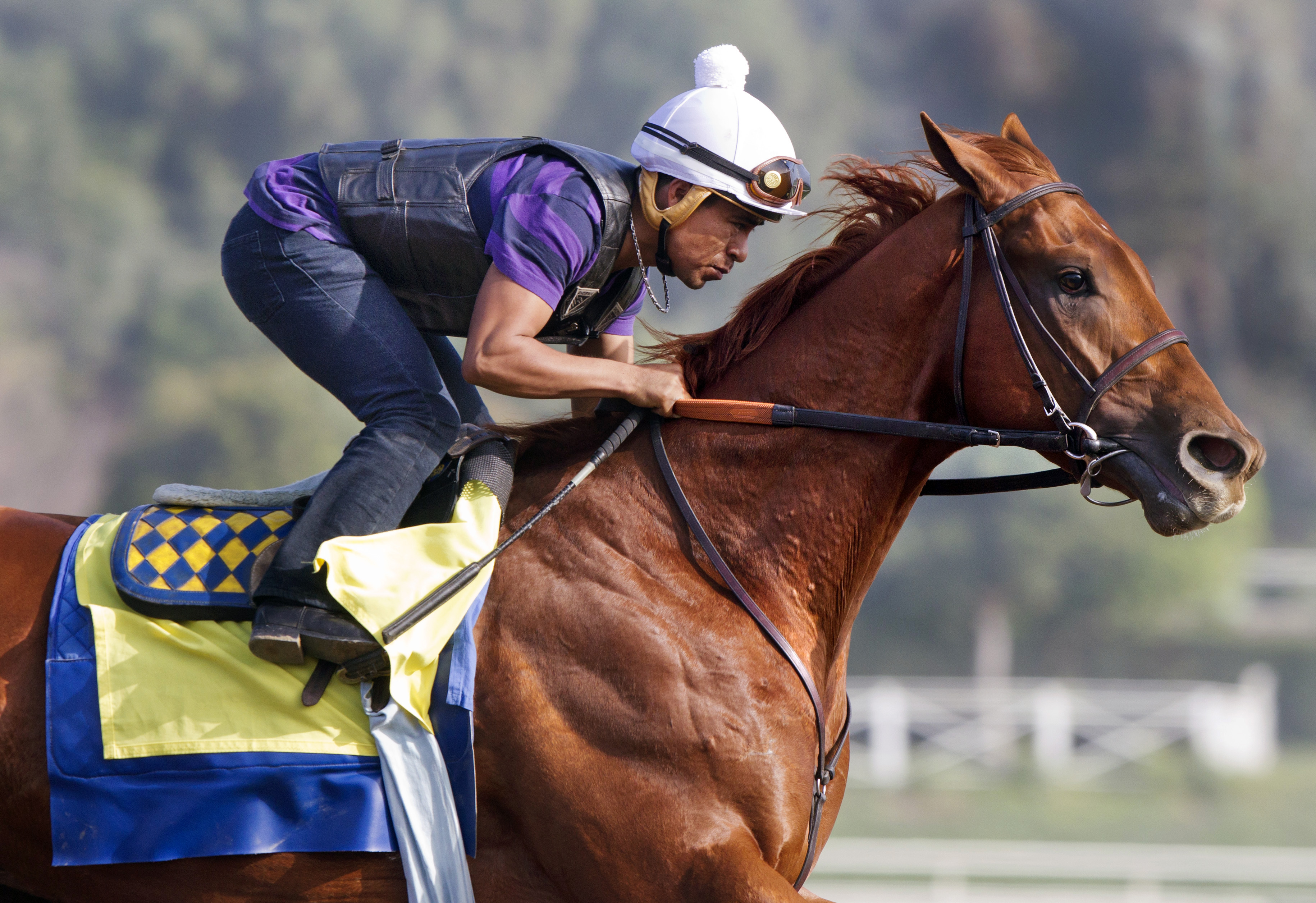 Martin Garcia working Dortmund