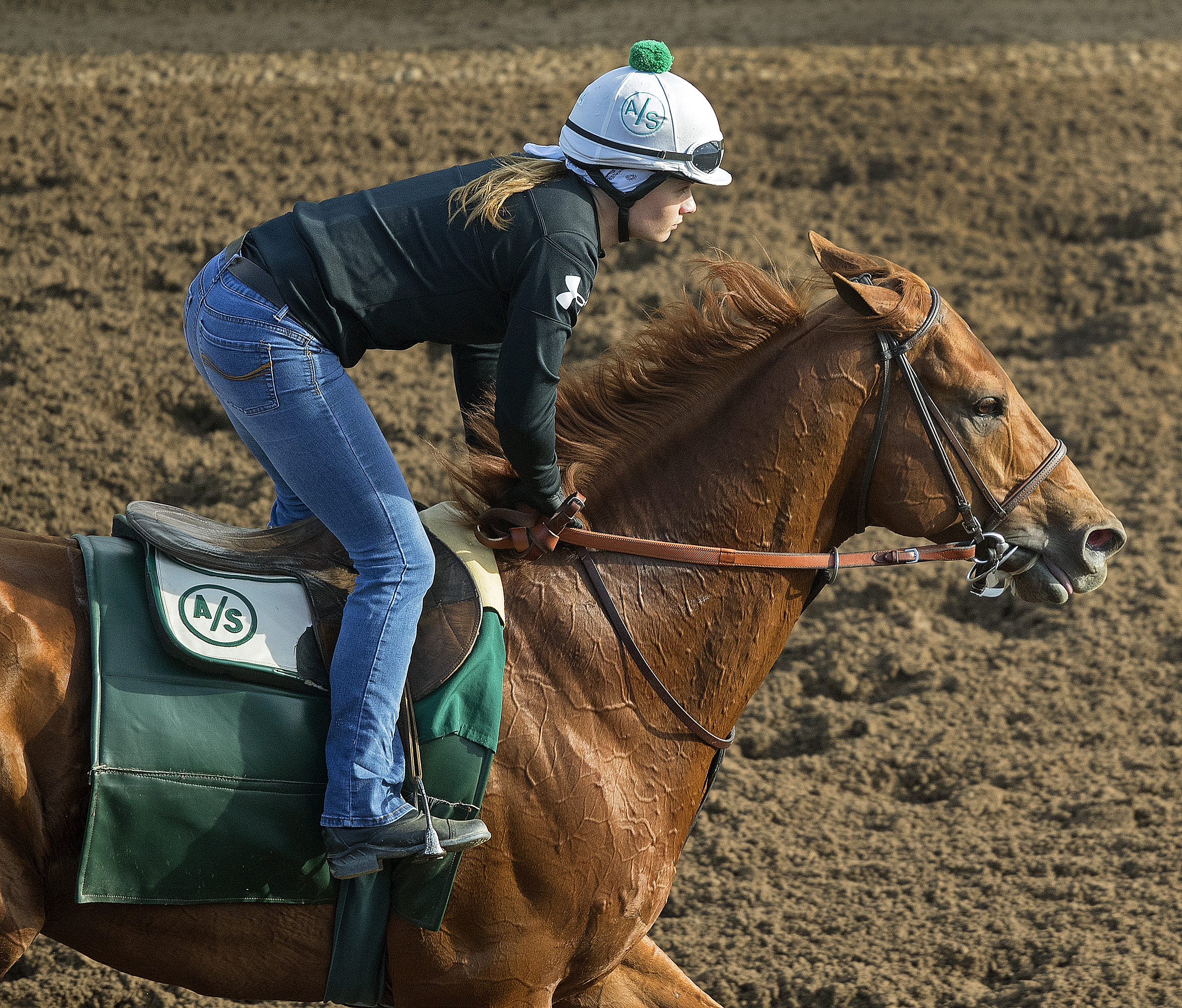 Dortmund at Santa Anita on March 10