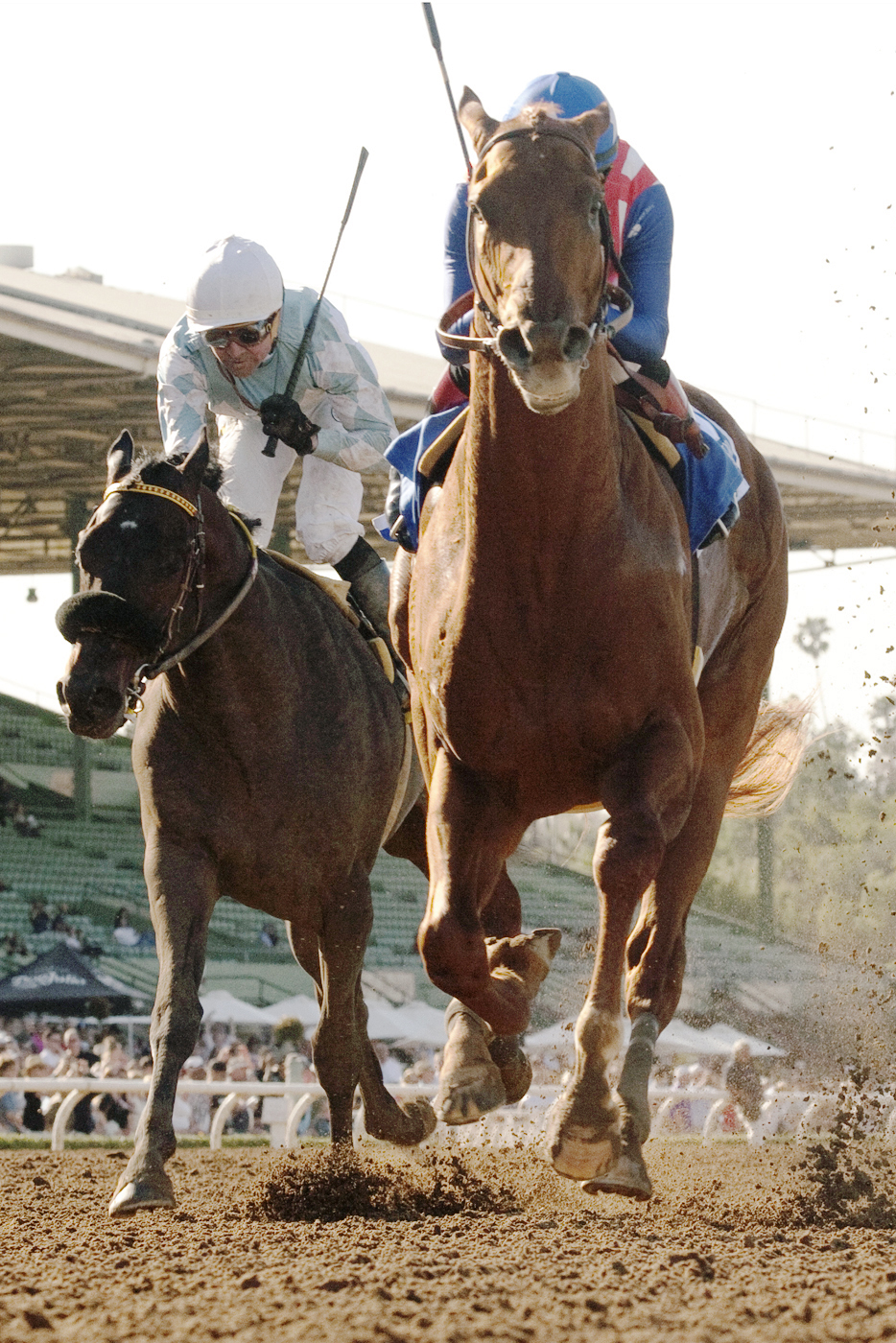 Prospect Park finishes second to Dortmund in the San Felipe