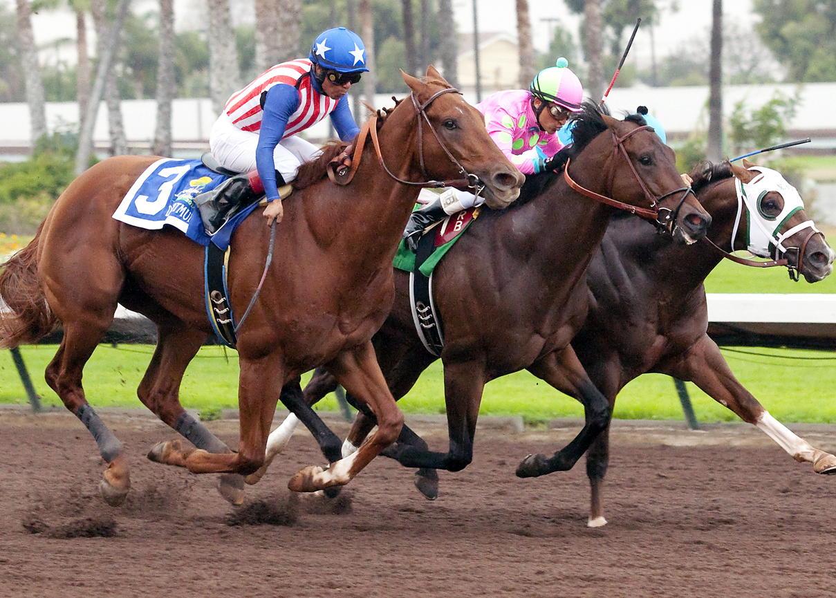 Firing Line finishes second in the Los Alamitos Futurity