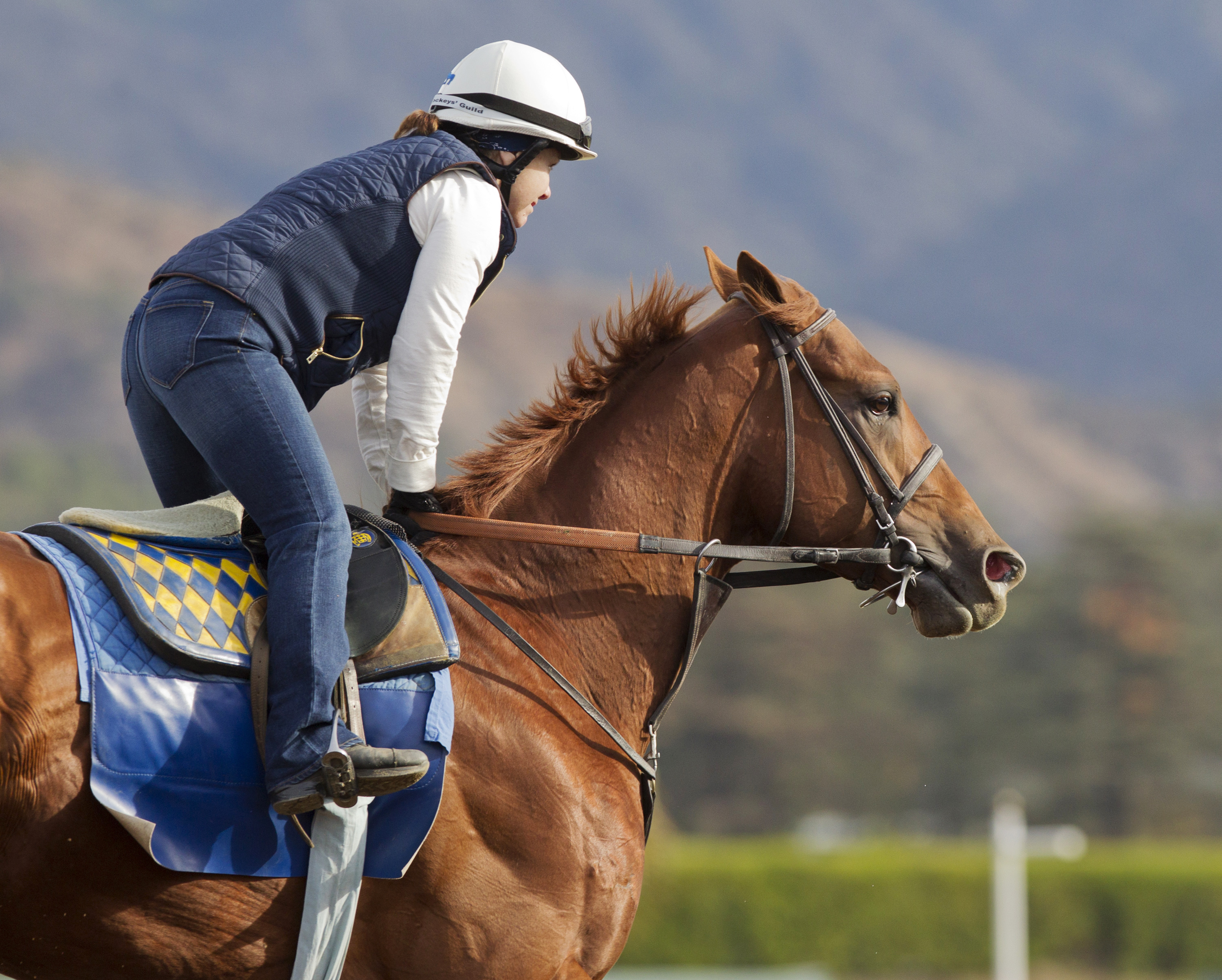 Dortmund at Santa Anita Park