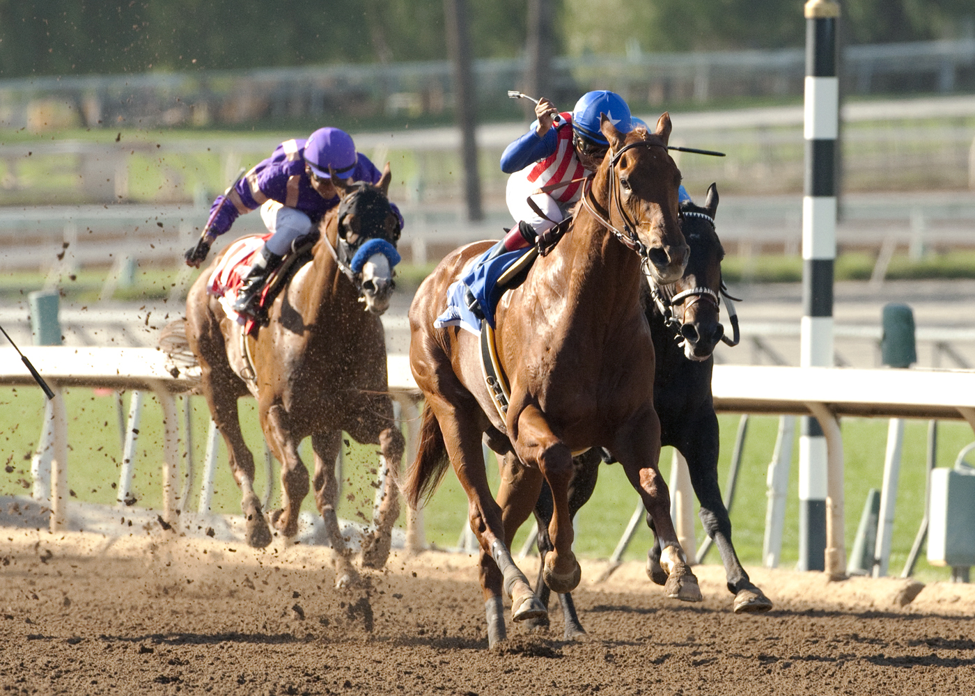 Dortmund wins the San Felipe
