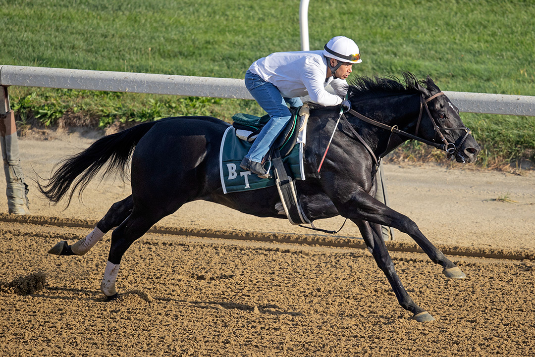 Doswell trains at Belmont Park on Oct. 3