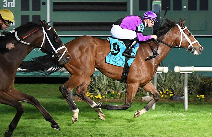 Dot Matrix wins the 2020 John B. Connally Turf Cup at Sam Houston Race Park
