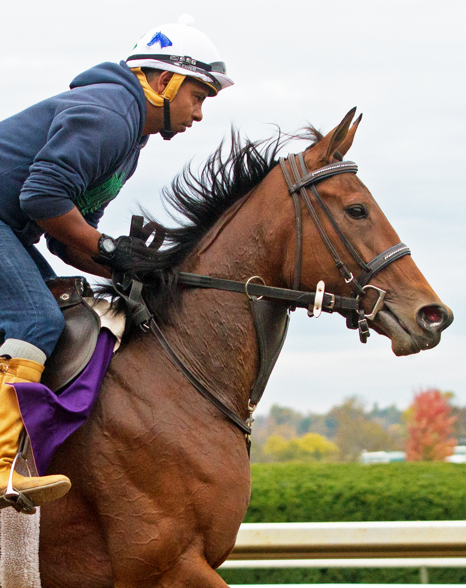 Dothraki Queen at Santa Anita in October 2015
