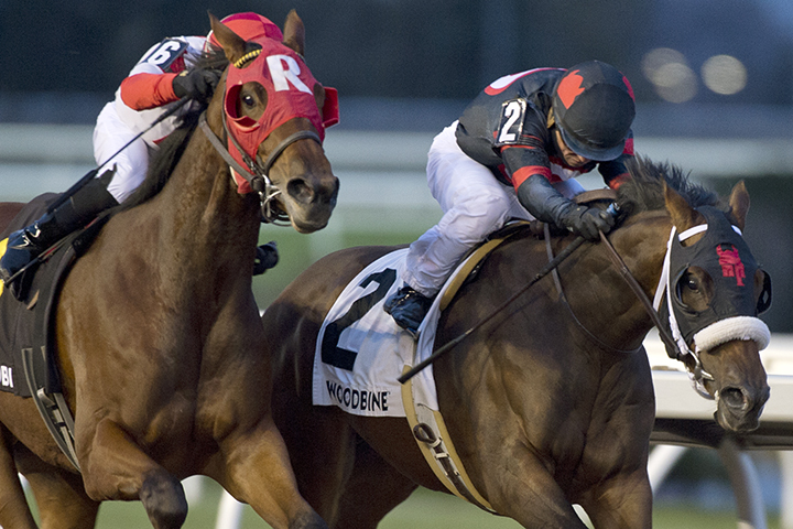 Dotted Line (right) wins the Frost King Stakes at Woodbine Racetrack