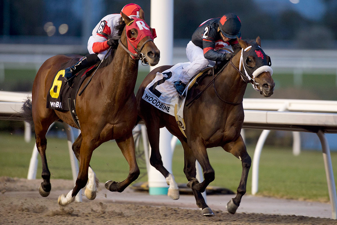 Dotted Line (right) wins the 2019 Frost King Stakes at Woodbine