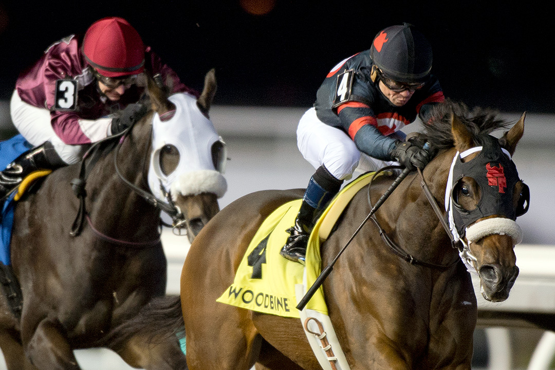 Dotted Line wins the 2019 King Arvie Stakes at Woodbine