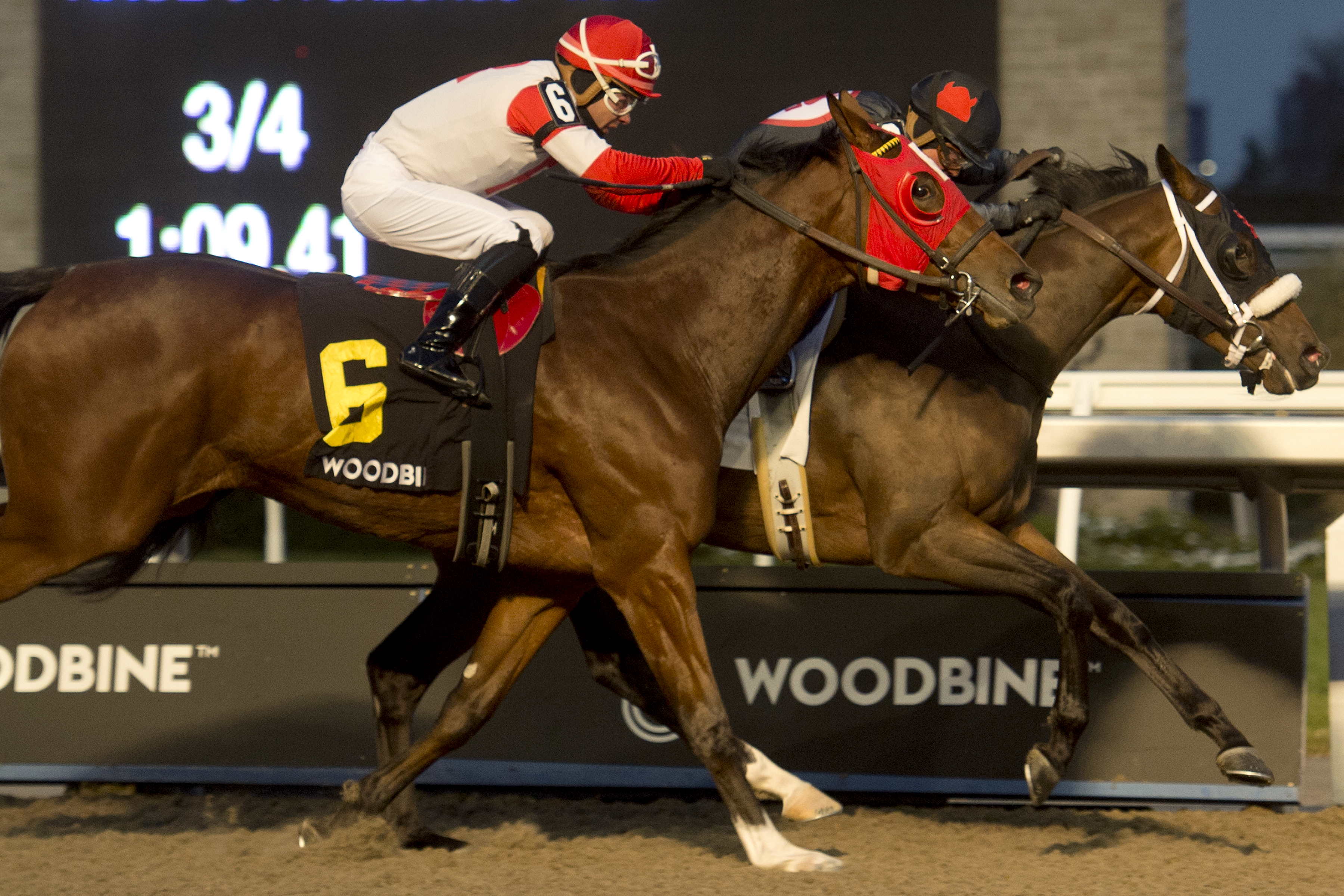 Dotted Line (inside) wins the 2019 Frost King Stakes