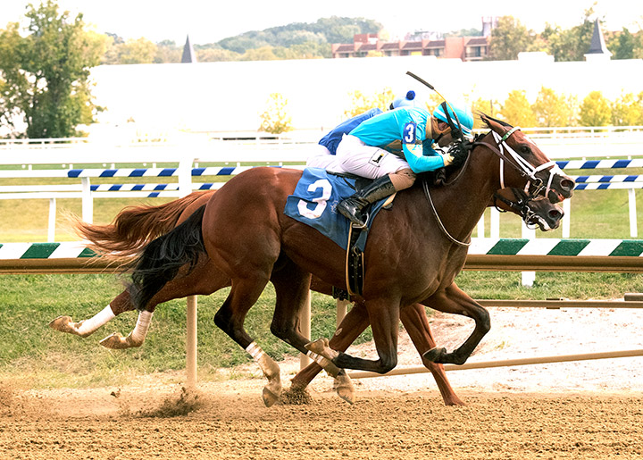 Double Crown (3) wins a Sept. 8 maiden race at Laurel Park