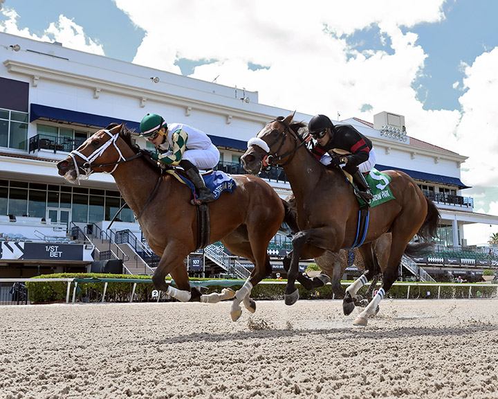 Double Crown (left) wins the 2020 Roar Stakes at Gulfstream Park