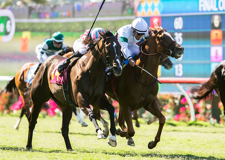 Double Touch (right) wins the 2018 Wickerr Stakes at Del Mar