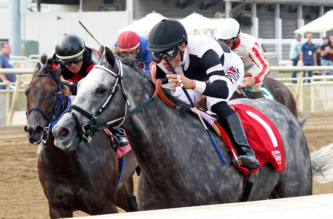 Double Tuff wins the 2020 William Henry Harrison Stakes at Indiana Grand
